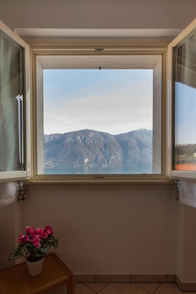 Easy Welcome Begonie