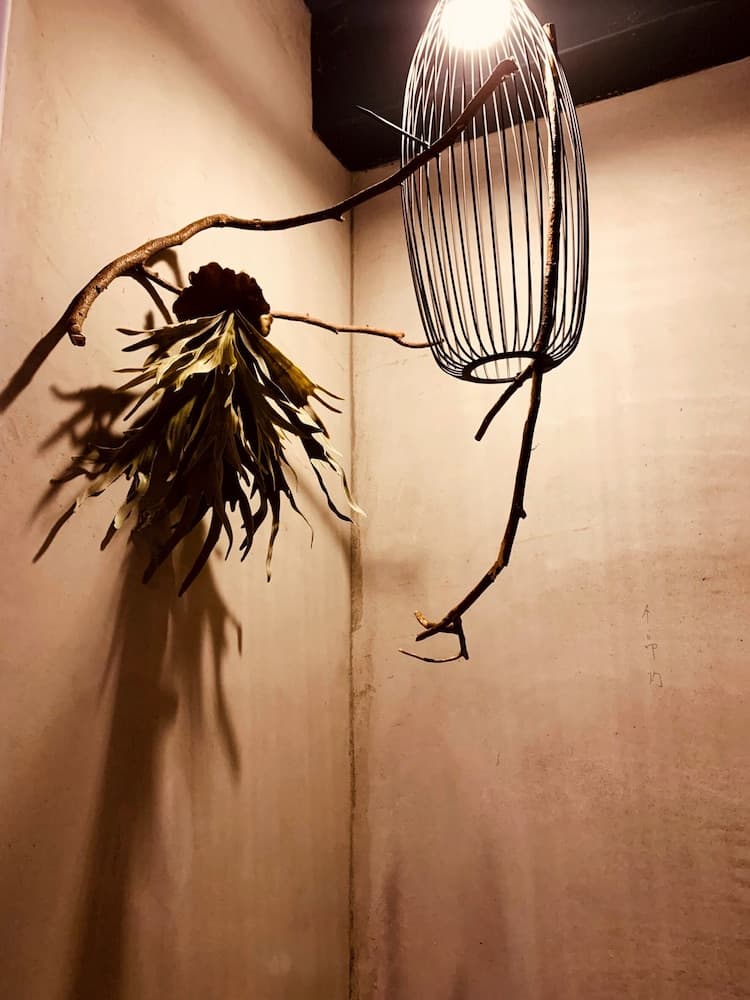 Yian Branch2 Backpacker lnn