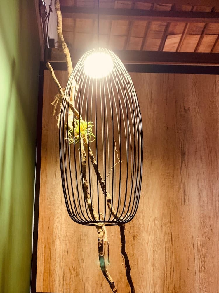 Yian Branch2 Backpacker lnn