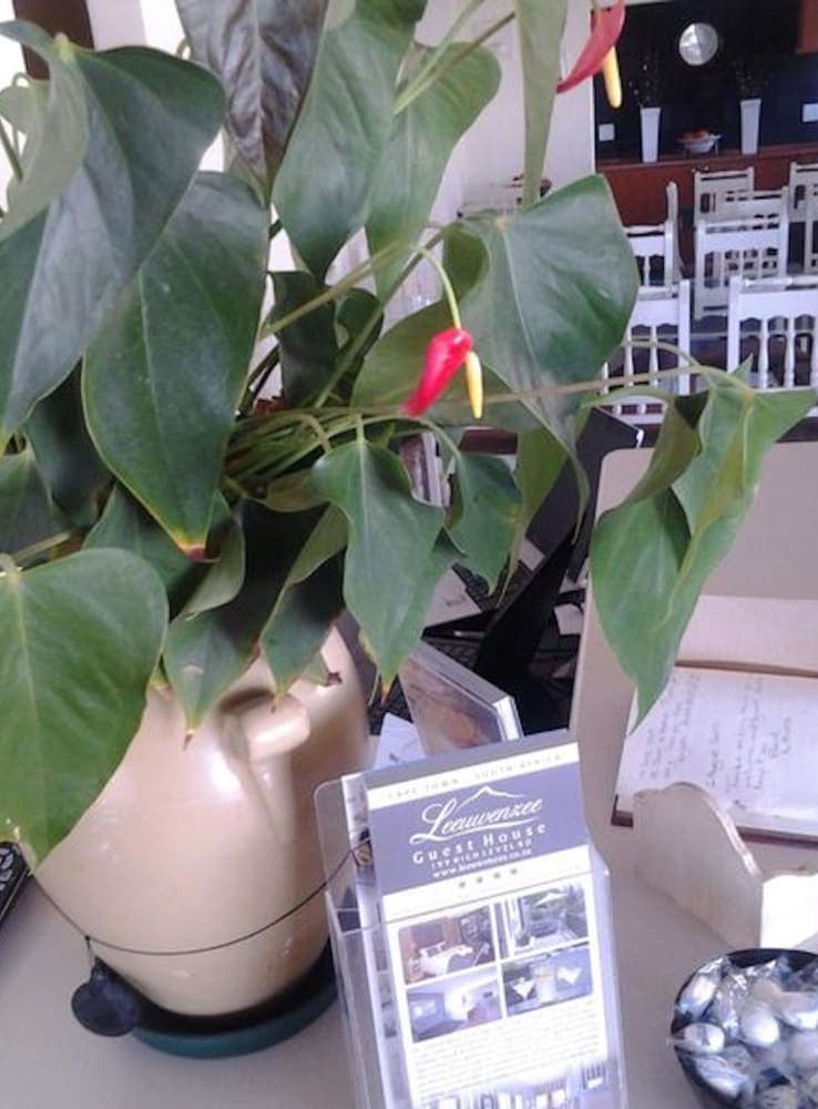 Leeuwenzee Guesthouse - Luxury Room With Self Catering