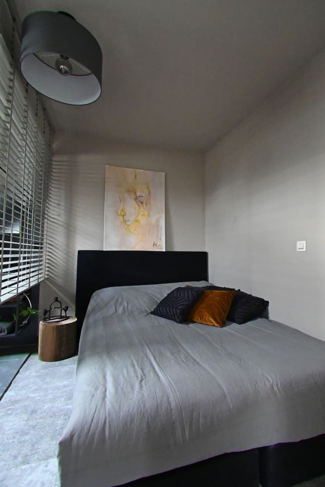 Cheap, Affordable Luxury in Antwerp Cc-4