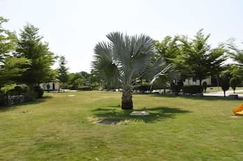 The Desert Den - Little Rann of Kutch