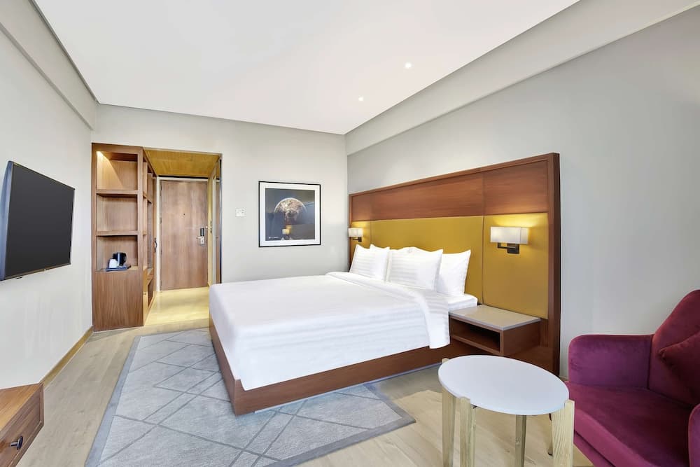 Radisson Hotel Nathdwara