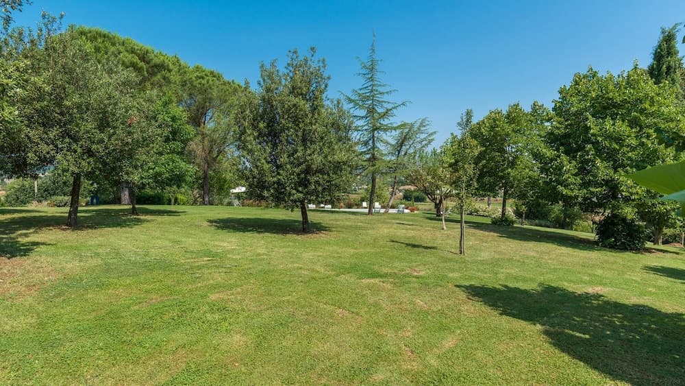 Si-a468-spla0at - Fattoria L Olmo Rosso 14