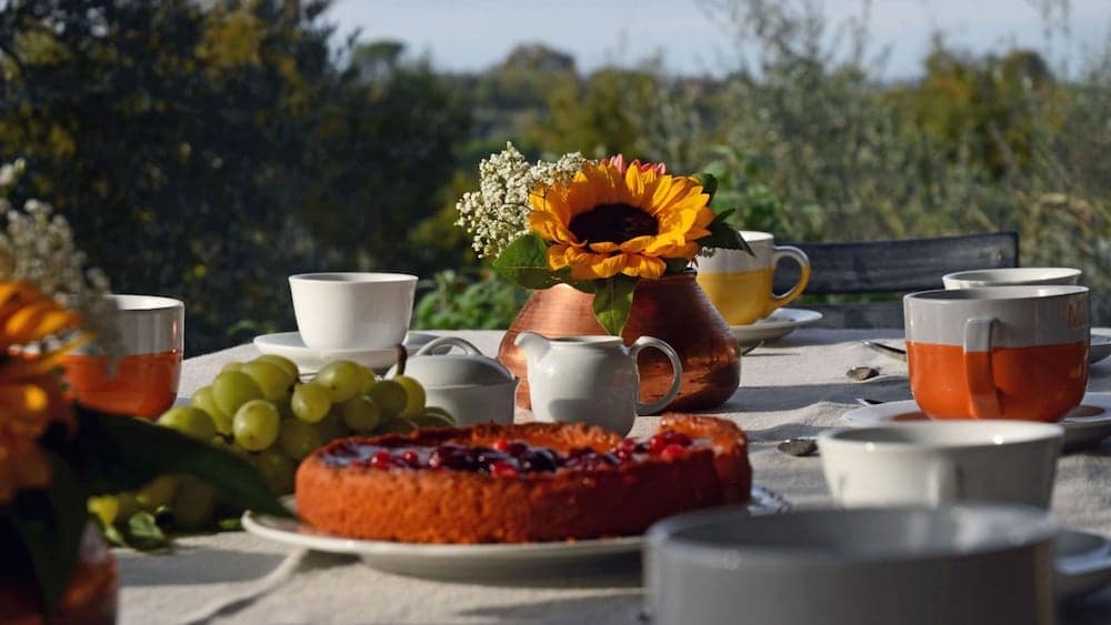 Pg-c744-svbo0at - Terra San Raffaele 10 3