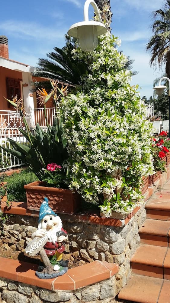 A Real Oasis In The City,