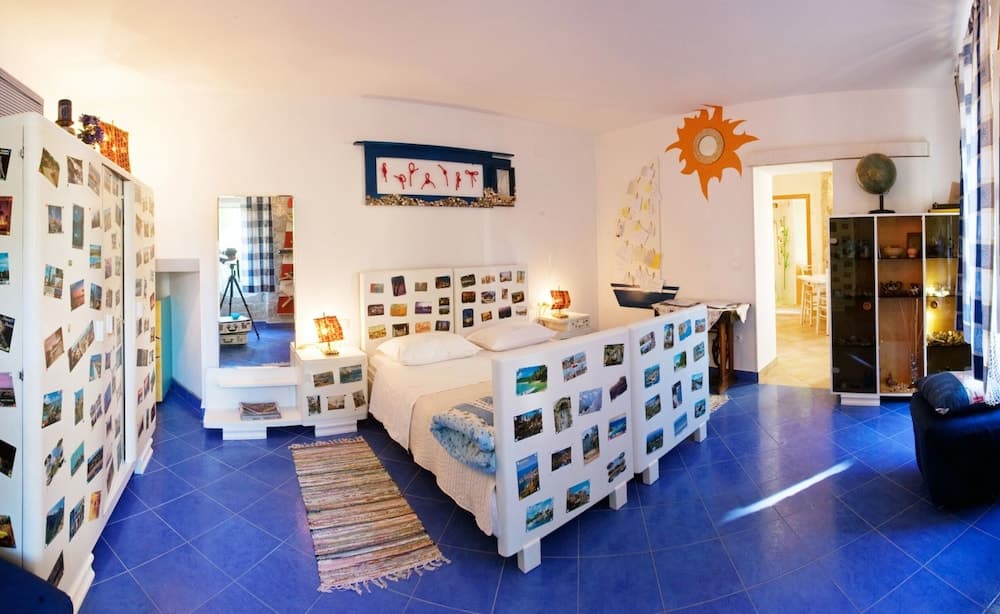 Happy Jackdaw in the Center of Split