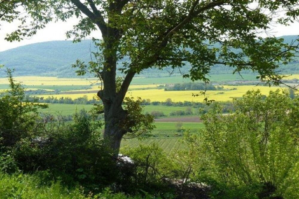 Sunflower Villa in Tutrakantsi