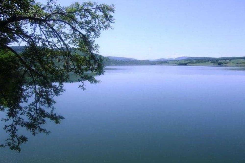 Sunflower Villa in Tutrakantsi