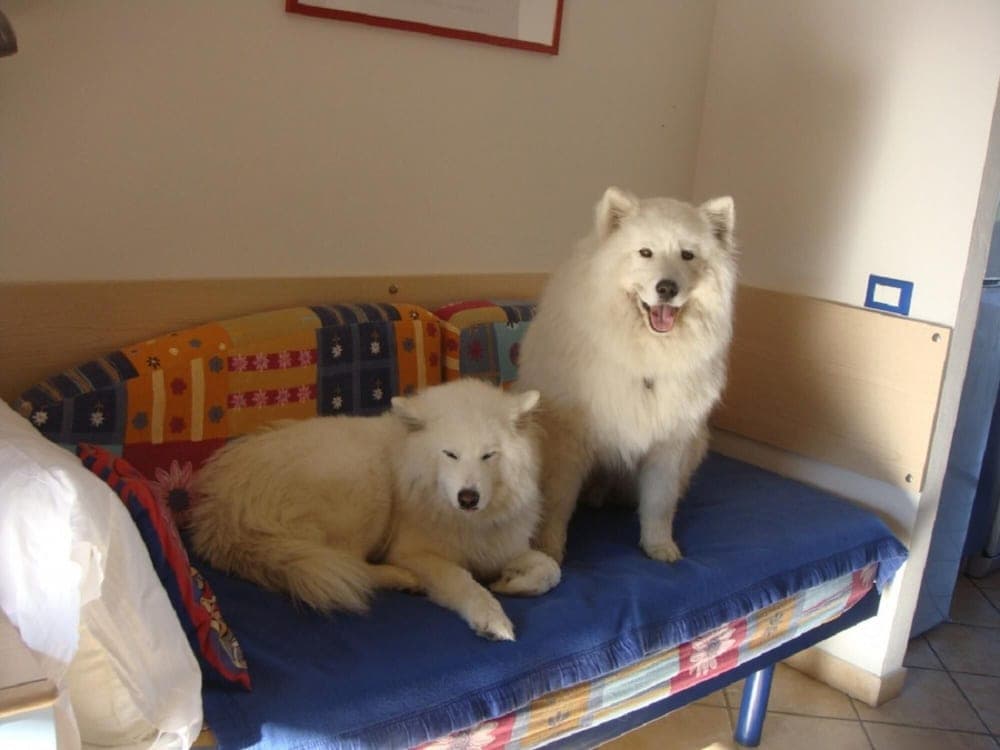 Caliente in Lido di Spina