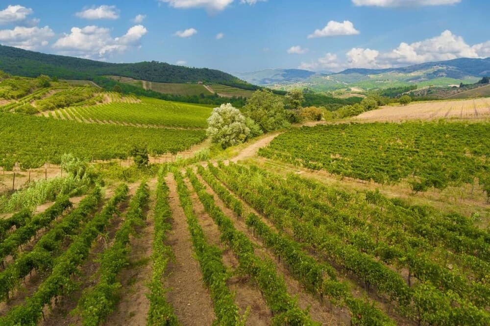 Villa Delle Donne in Greve in Chianti