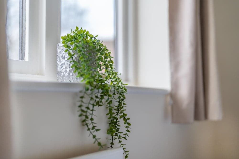 Pierocks Wickets Luxury Entire House, Free Parking and Wi-fi in Maidenhead