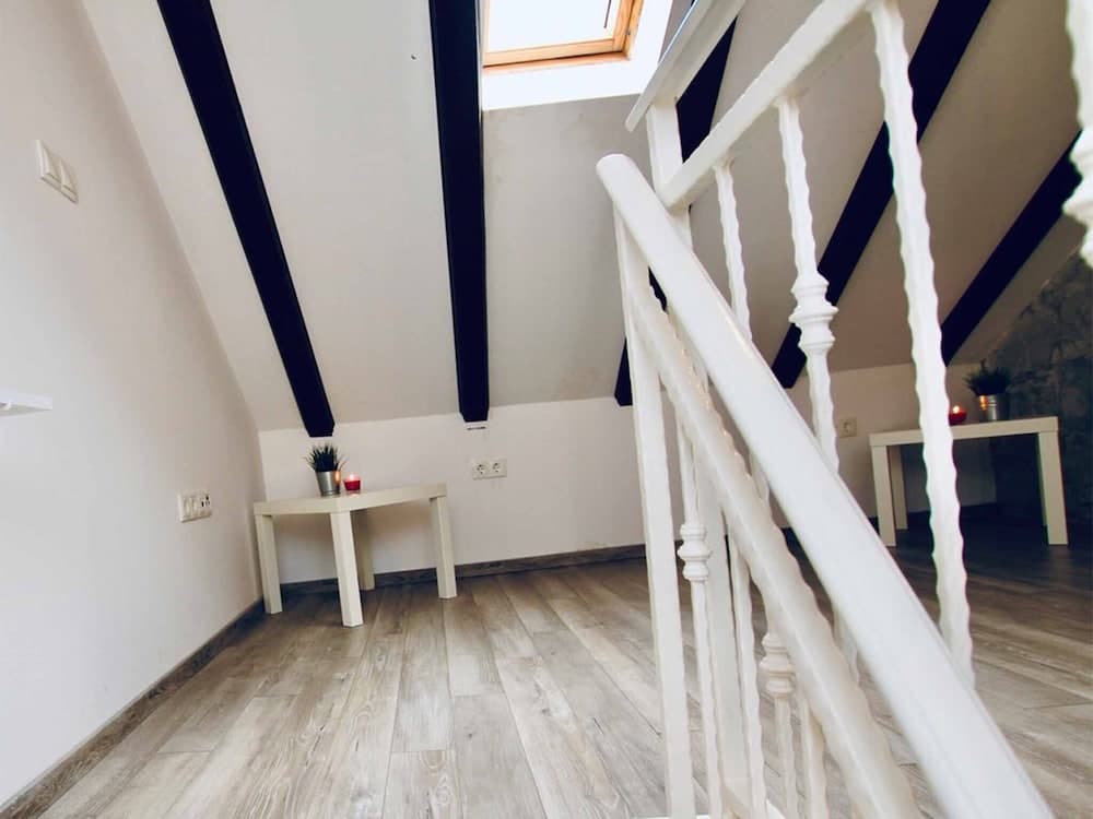 Dalmatian White Shell Apartment