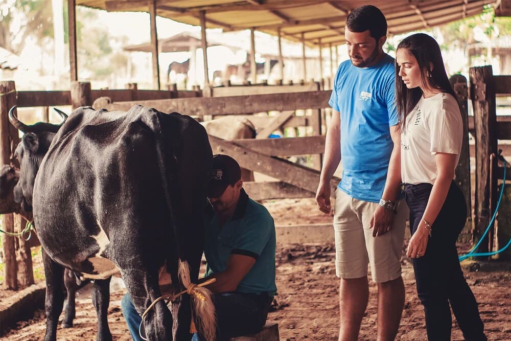 CONDOMÍNIO FAZENDA TRÊS TESOUROS