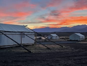 Yellowstone Dreamin Camp