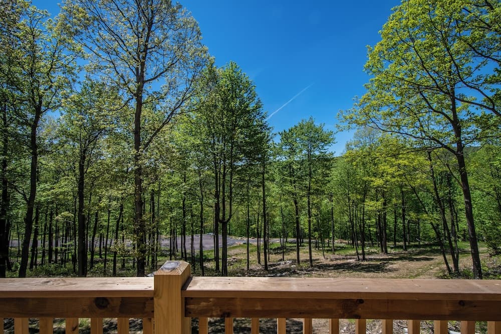 Space Mountain by Taylor Made Deep Creek