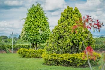Hacienda Araucaria Habitacion 10