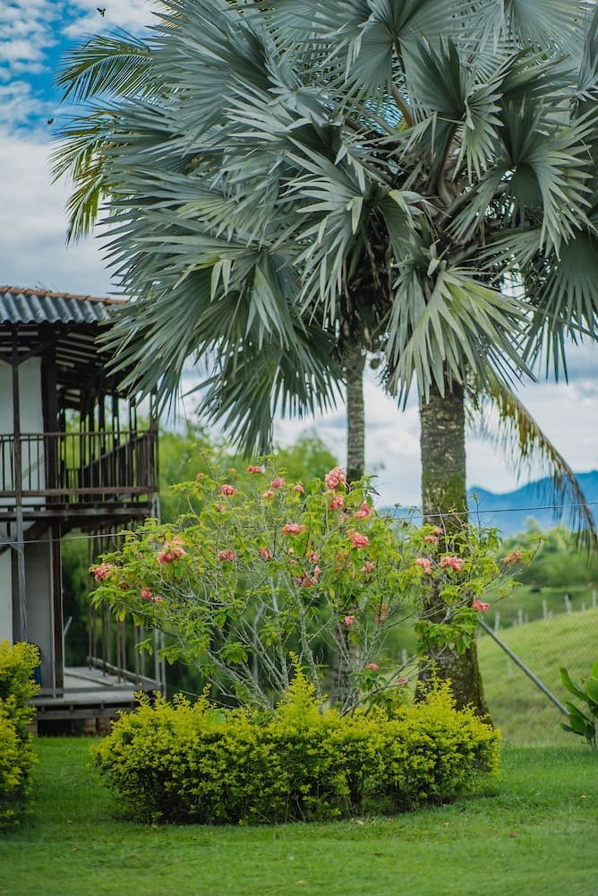 Hacienda Araucaria Habitacion 10