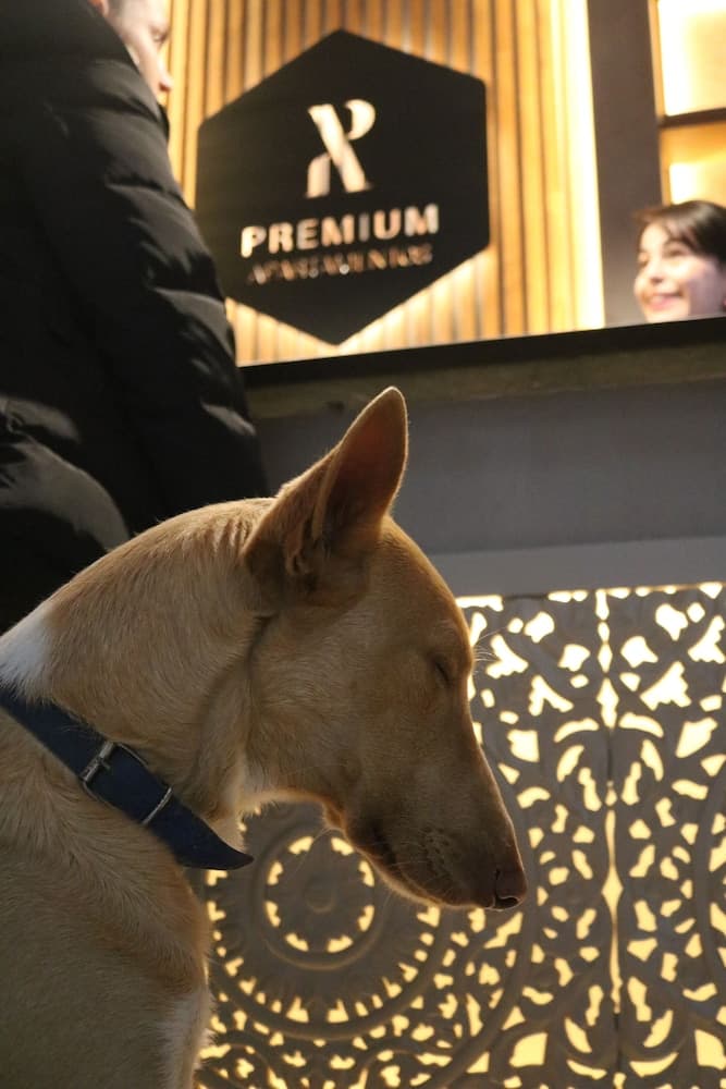 Apartamentos Málaga Premium - Calle San Telmo Thyssen Museum