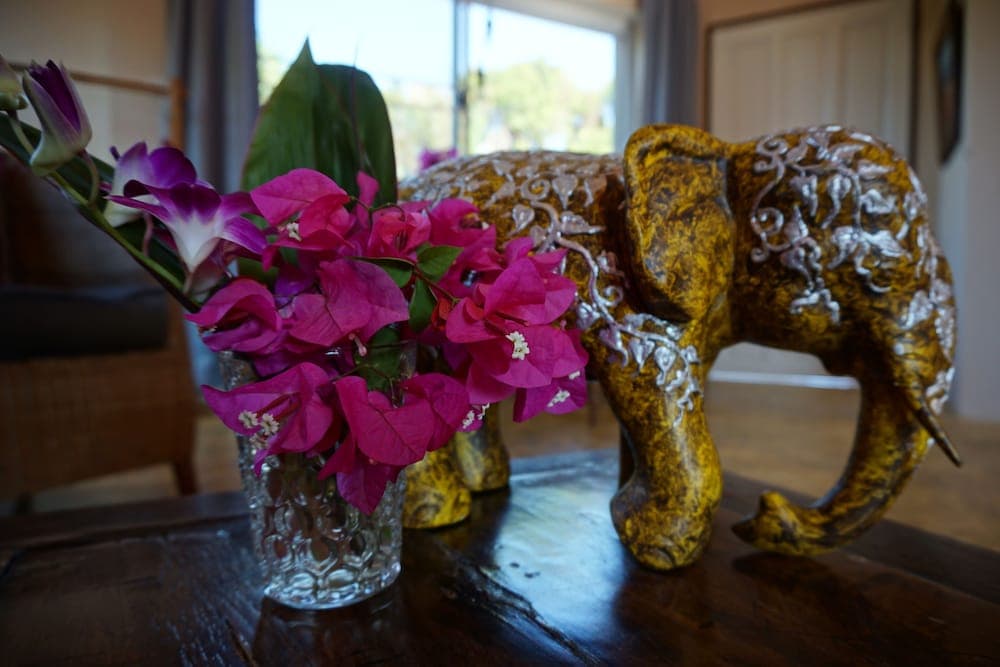 Comfortable Island Suites With Beautiful View and Balconies With Kitchenette