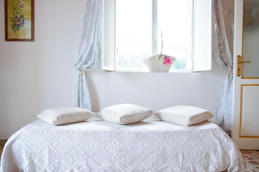 Easy Welcome Salvia - Cartolari County Apartments