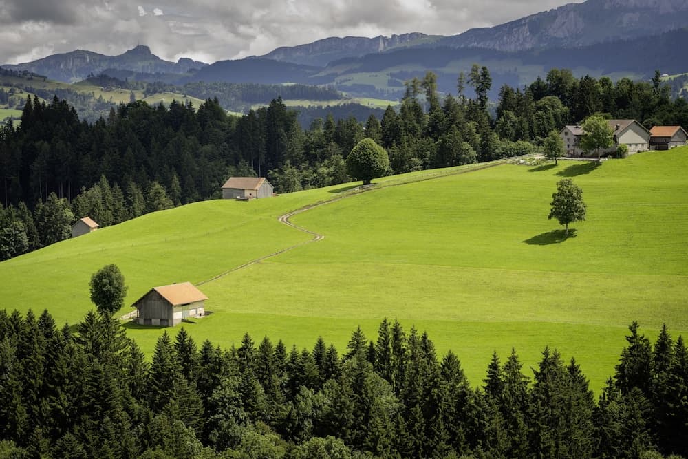 Vegan Health Hotel Sonnenberg