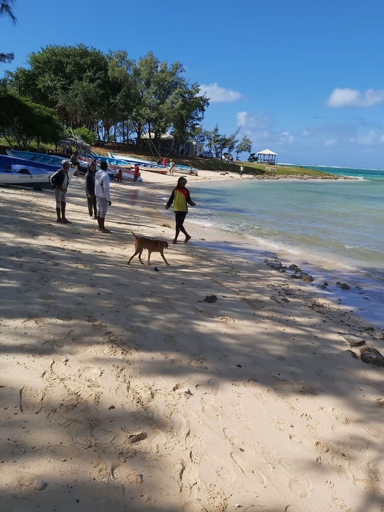 Le Shanoa-gite Feet in the Water