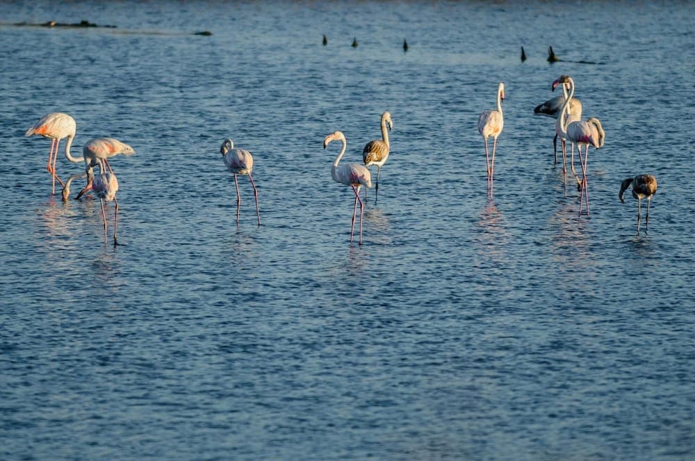 Figueira Duplex Praia Buarcos Wi-fi Cable TV