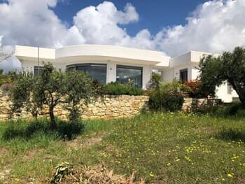 The Olive Grove Tsapi