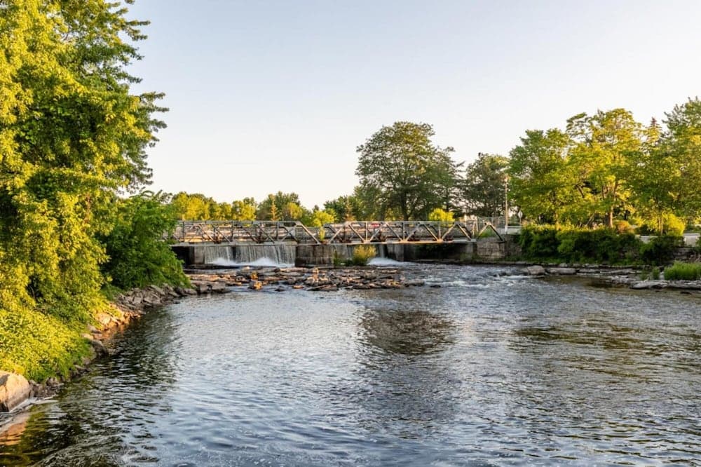 Rideau King 1Br Apartment Free Parking