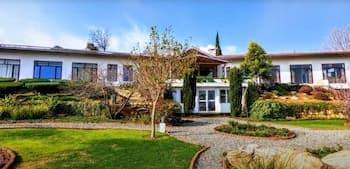 Tree of Life Junoon in The Hills