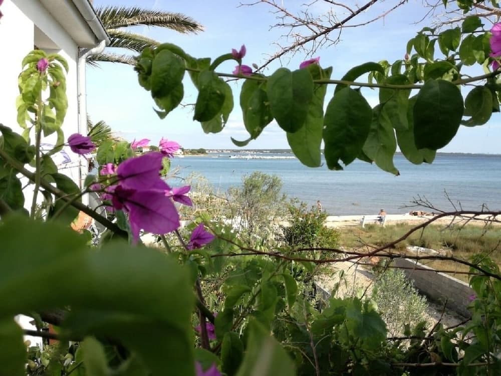 Teo - 8m From the sea & Parking - A1 Žuti