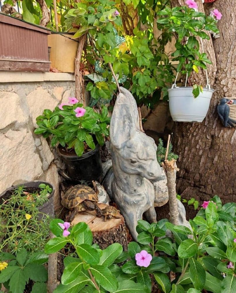 Joško - 70 m From Beach - SA1