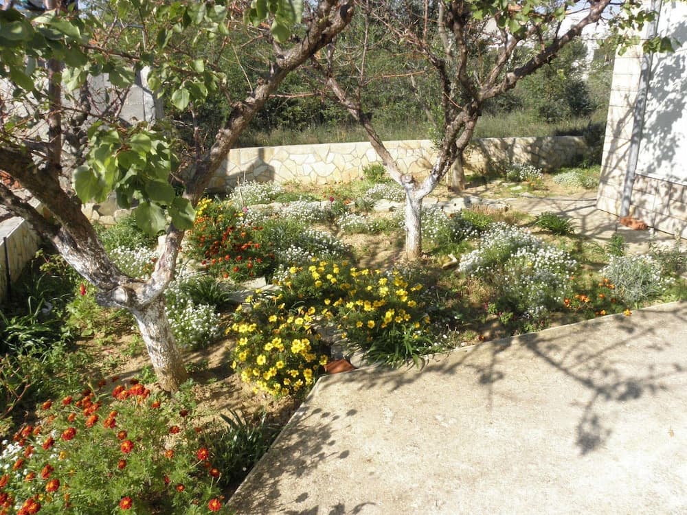 Brane - 180m to the sea - A3