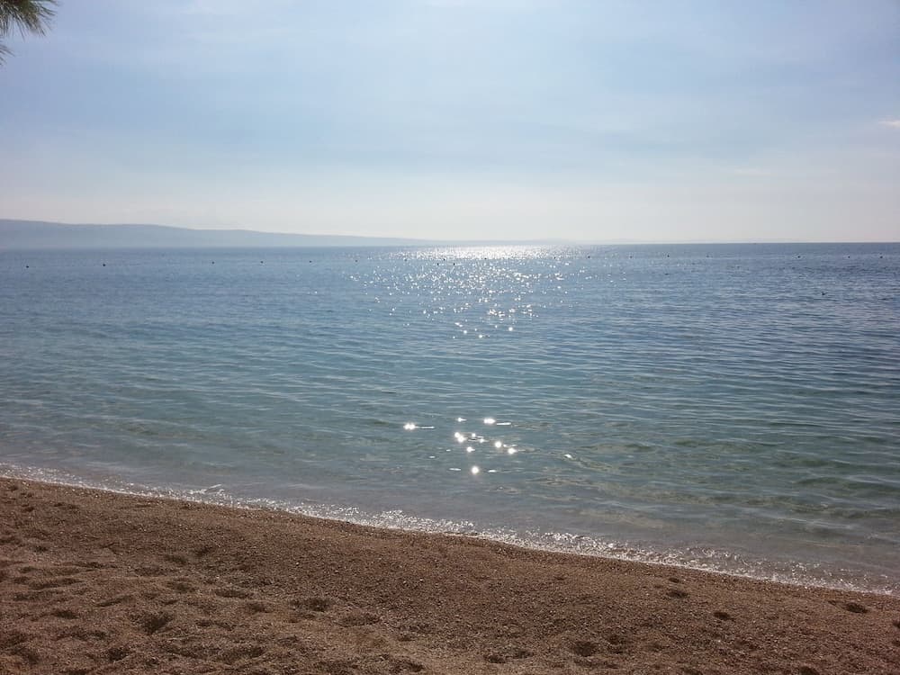 Neva - 50m From the sea - SA3