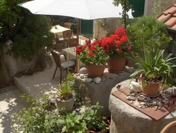 Draga - Traditional & in Center - SA1