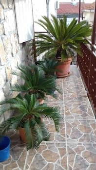 Lidija Apartments in the Centre - SA2