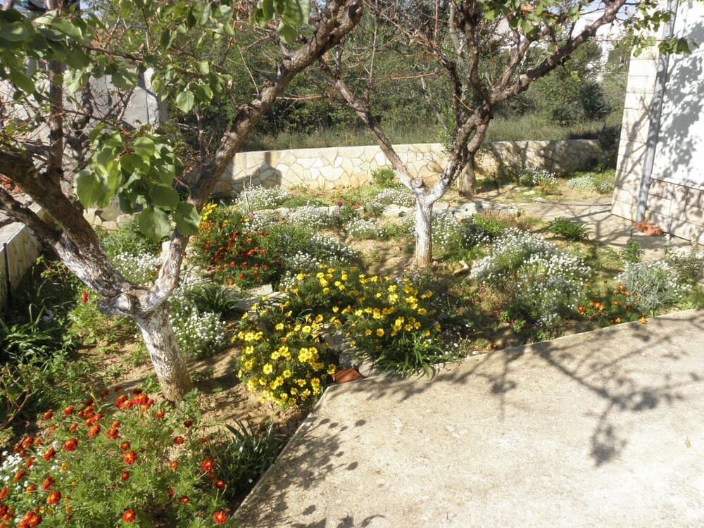 Brane - 180m to the sea - A2