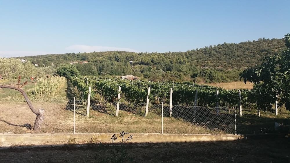 Ivo - 0,5 km From Sandy Beach - A2