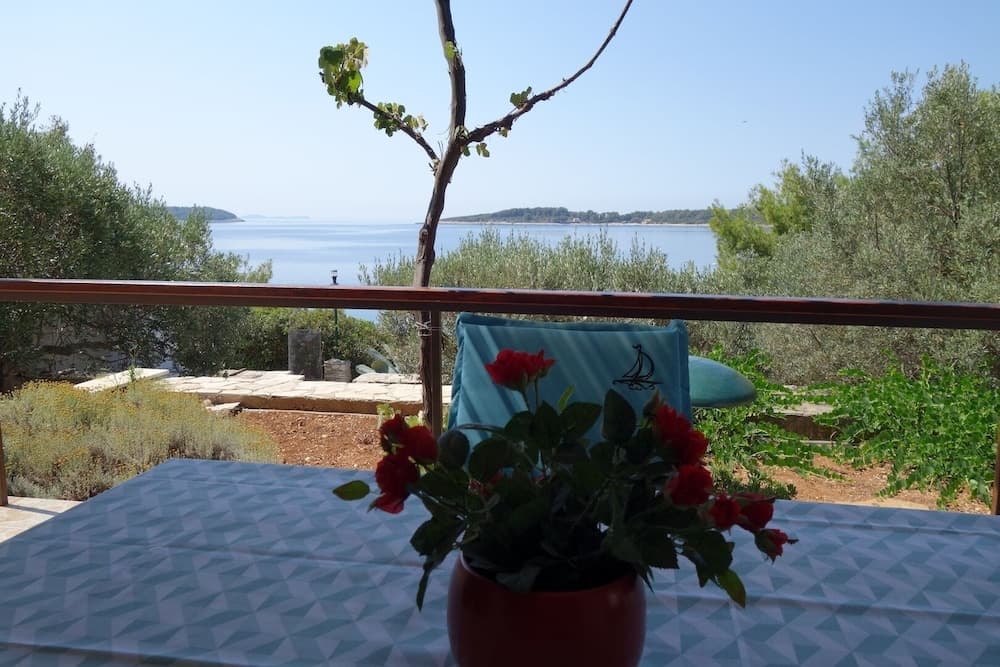 Nev - 20m From the sea - A1 Veliki