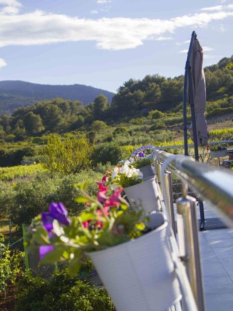 Filip - Vineyard and Large Terrace - SA1 Žuti