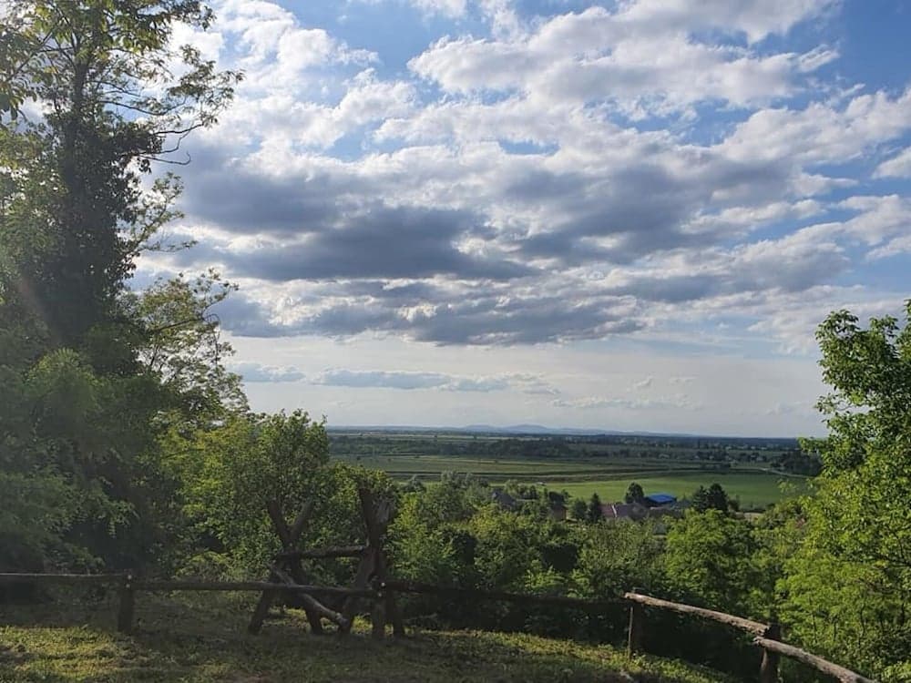 Bogdan - Countryside With hot tub - SA1