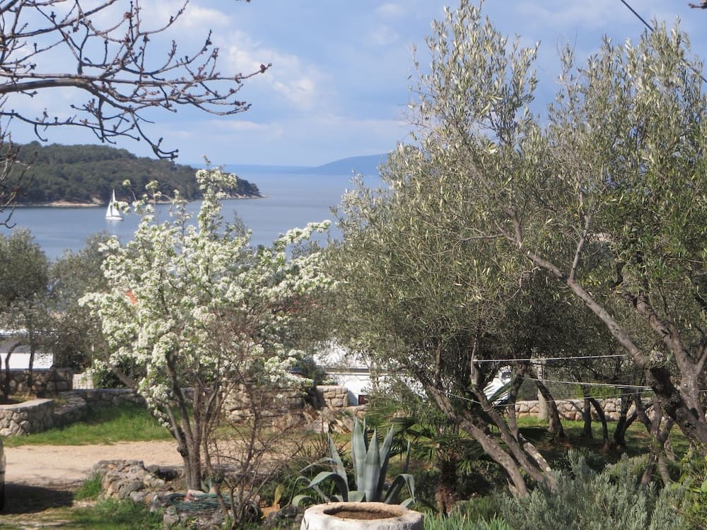 Forna - Free Parking - A1