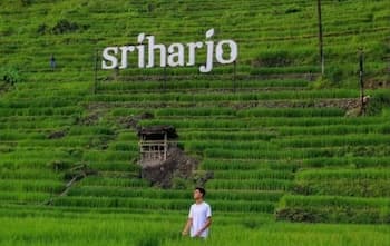 HOMESTAY MBAH POMO SRIHARJO