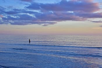 Anna Maria Island Beach Paradise 6