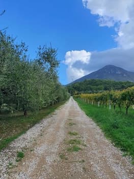Unique Countryside Loft Room, Near Naples