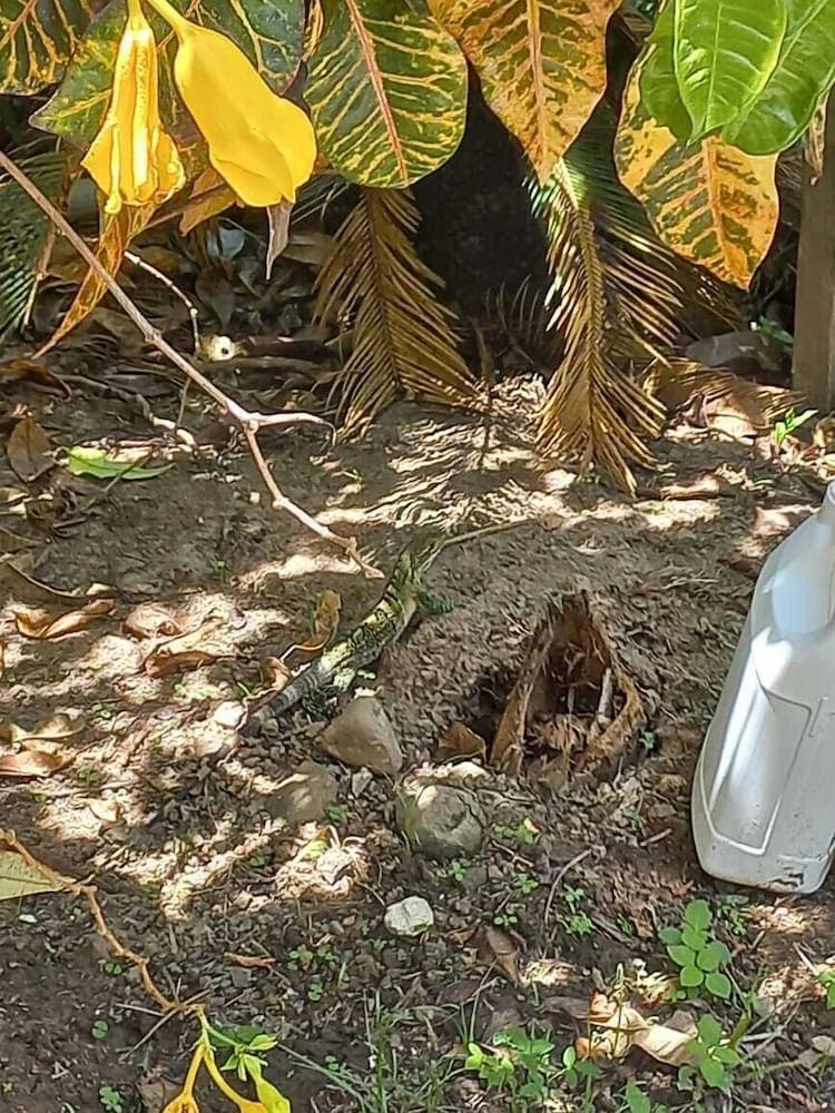 Donde Familia Manito