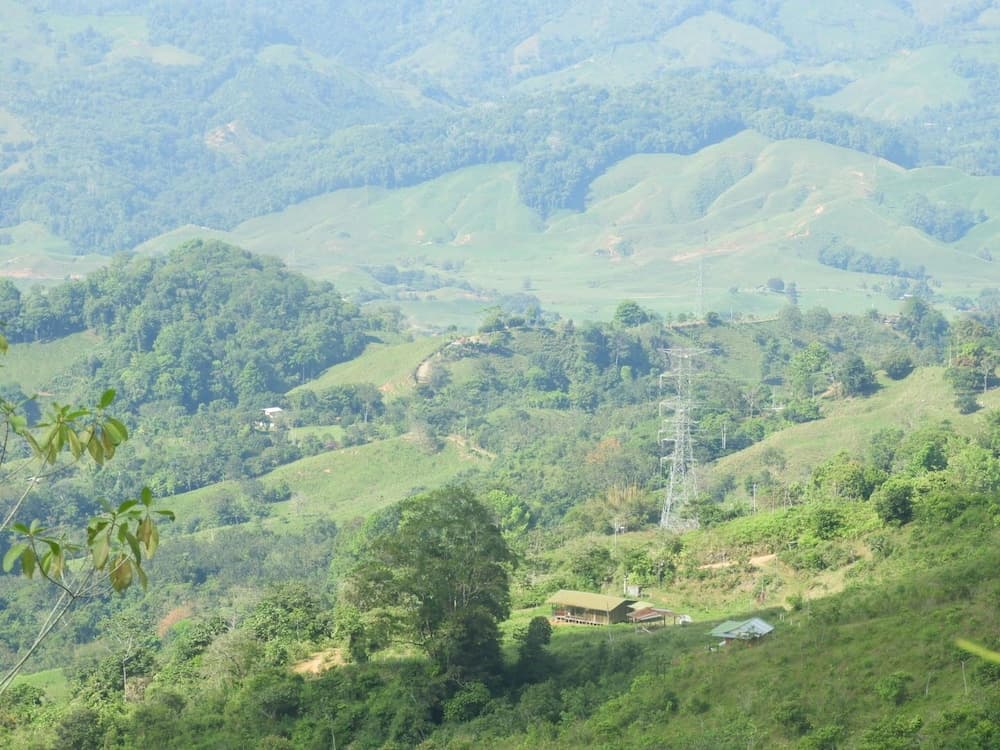 Native Baru Morpho Cabin