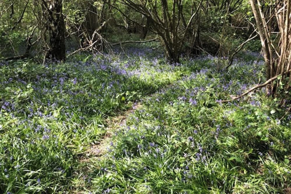 1 Bedroom Apartment Sleeps 2 - Pets Welcome - Tv