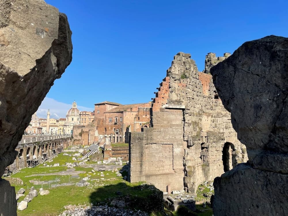 Rm-h501-pale6d2 Monti Apartments - M8